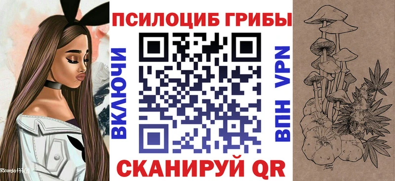 ОМГ ОМГ ТОР  нарко площадка наркотические препараты  Псилоцибиновые грибы Psilocybe  где продают   Камызяк 