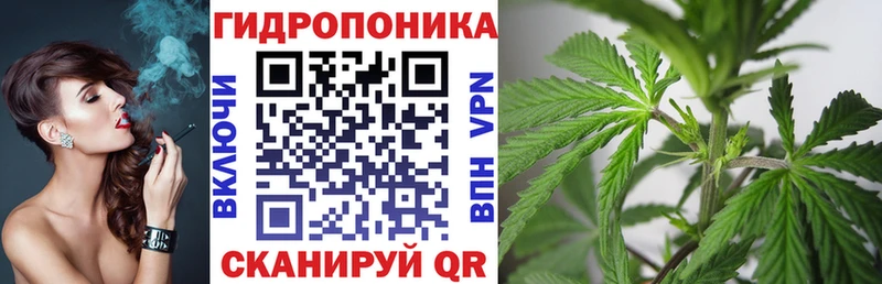 Конопля план  Камызяк 